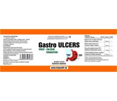 GASTRO ULCERS